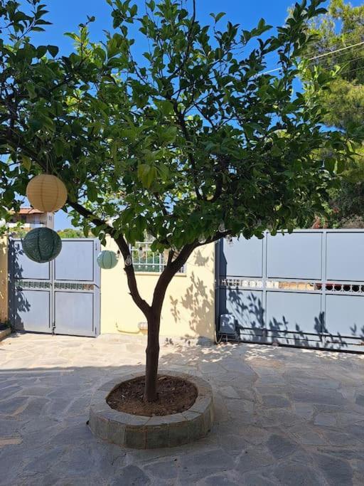Hestia Airport House - Artemis Διαμέρισμα Εξωτερικό φωτογραφία